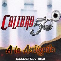 Midi Secuencia A La Antiguita - Calibre 50, usado segunda mano   México 